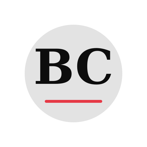 Belus Chimney Repair logo